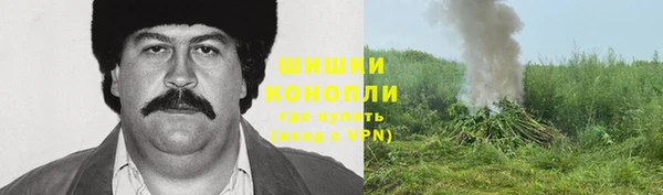 гидропоника Мегион