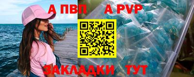 дмт Кингисепп