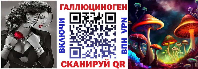 Галлюциногенные грибы Psilocybe Кызыл