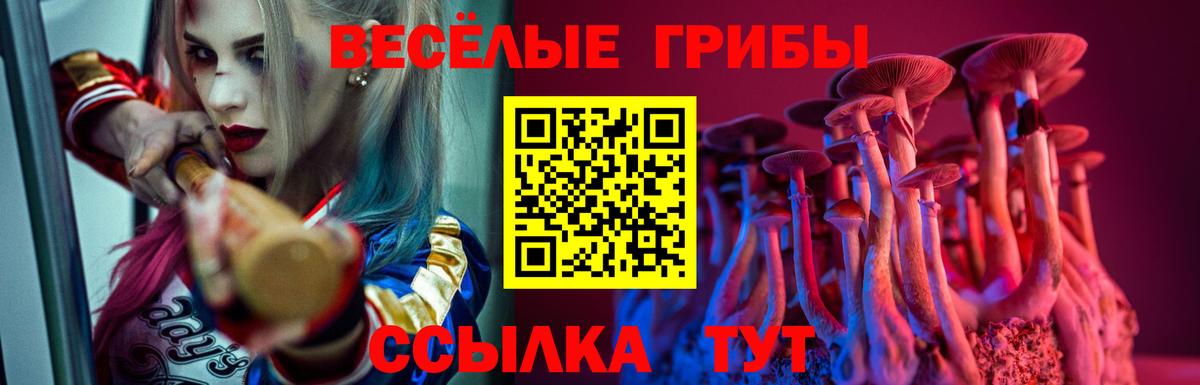 Кызыл  Псилоцибиновые грибы Psilocybe  Вход с VPN 