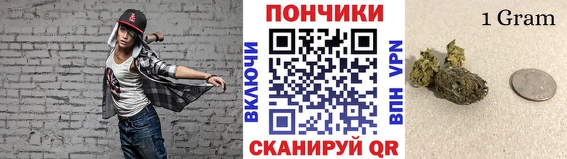 shop телеграм наркотики Кызыл МАРИХУАНА Bruce Banner
